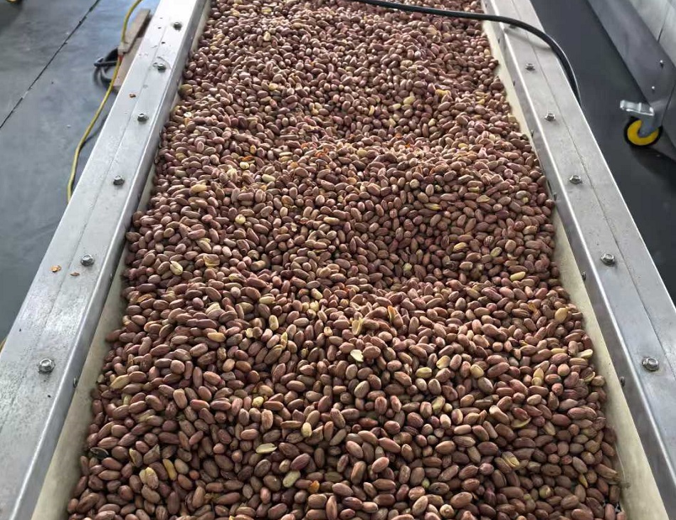 許昌智工流水線電磁炒貨機(jī)